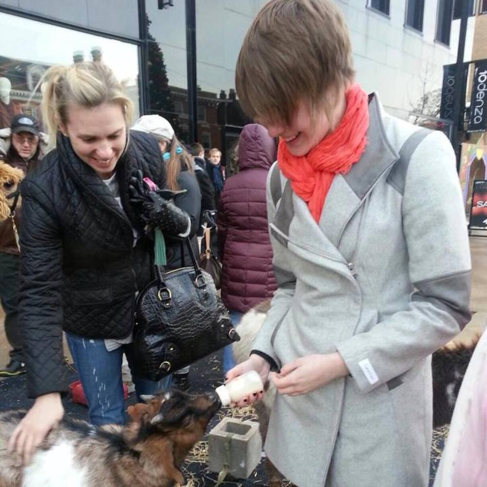 Meet your Posher, Grace